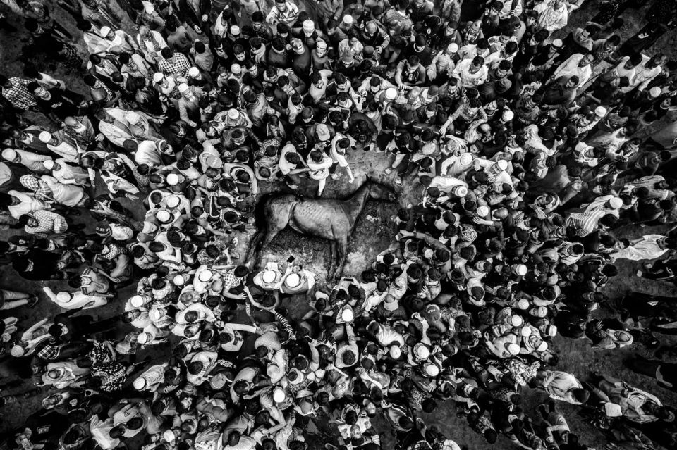 ������� ���������� XI �������������� �������� ���������������� ����� ������ �������