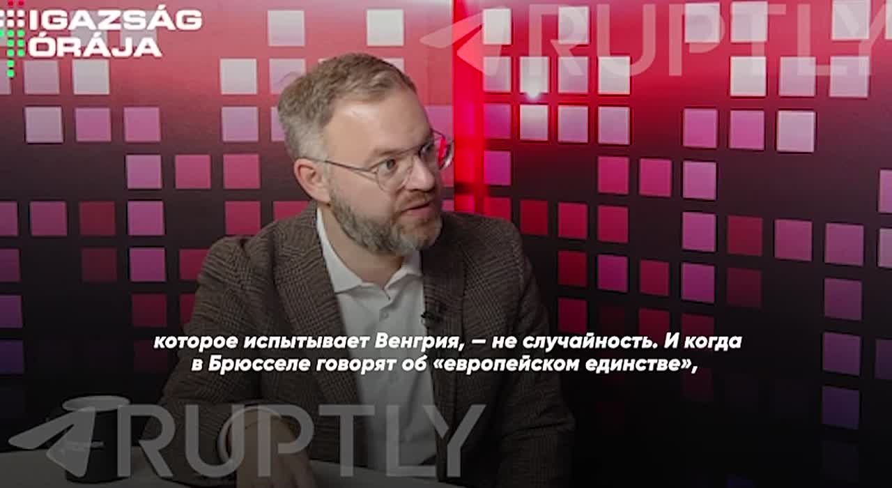 «Итальянским избирателям нужно объяснить, что их деньги хотят отдать «на золотой унитаз для Зеленского»: Венгрия готовит антикоррупционную операцию в масштабах всего ЕС