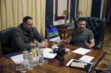 Украинский Али-Баба. Зеленский может потерять архитектора своего режима