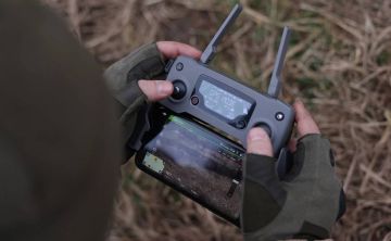 ,      ,        ,       20,  Politico      