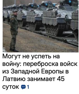  :        ,      ,  Financial Times