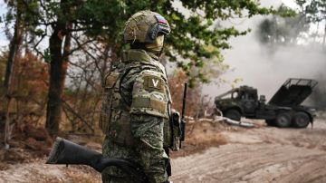 Европейские эксперты бьют тревогу: разгром киевского режима неминуем