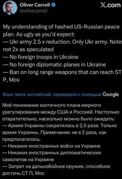 Украина должна будет сократить численность ВСУ не вдвое, а в 2,5 раза, согласно мирному плану США