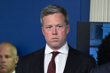  :  ,         ,        ,   ,         