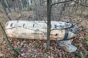 Обломки у Воронежа указывают, что США дали ВСУ старые ракеты ATACMS