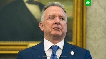     :  Axios ,          ,         