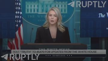           .      ,    .       ,  -   ,  ...