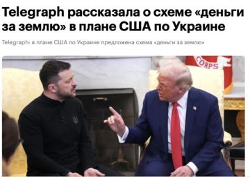  :     "  "  ,       "  "