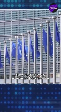  :   ,      ,   ,       ,  :