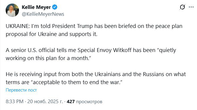 Келли Мейер из News Nation