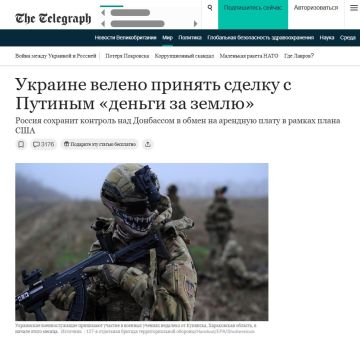  :              (  ,   )