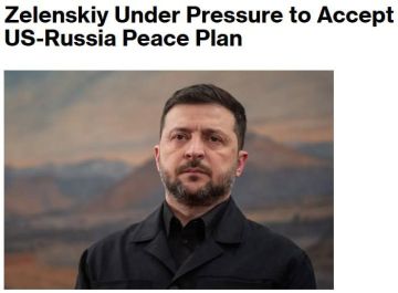  :     ,     ,  Bloomberg        