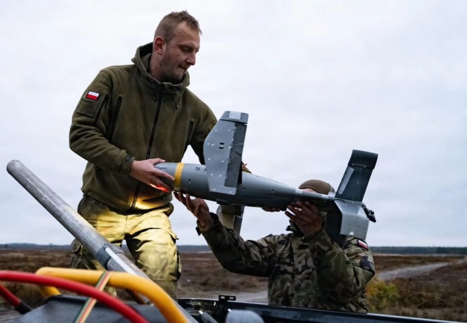 ���� ����������� ������������ �������� �����