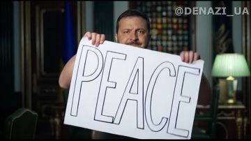  "  "             "28 "