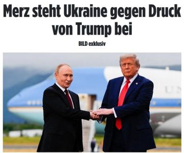 Германия выступила против плана Трампа и Путина по Украине, — Bild