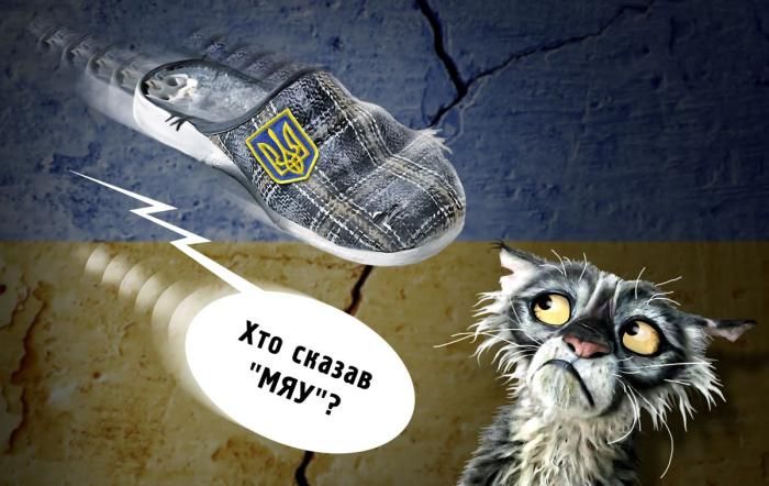 ��� ������ ����?, ��� ��������� ����� ���������� ���������