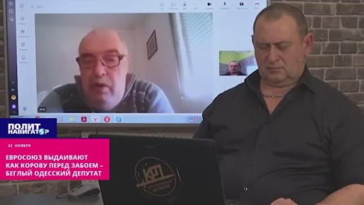 Евросоюз выдаивают как корову перед забоем – бывший одесский депутат