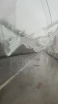 «На Украине антидроновые сетки не выдерживают первый снег и просто валятся вместе с опорами