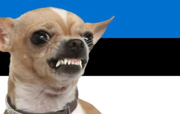         ,         ,      ,  Sky News