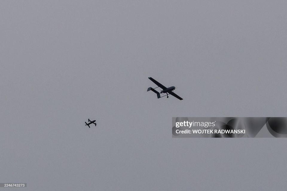 ���������� ������������ ������� MEROPS � ������ ������ ����� ��� � ������ �� �������� ��������