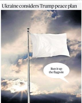 «Поднимите это на флагшток»