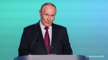 Путин отметил в разговоре с Эрдоганом, что предложения США по Украине в настоящем виде могут стать основой урегулирования, сообщили в Кремле