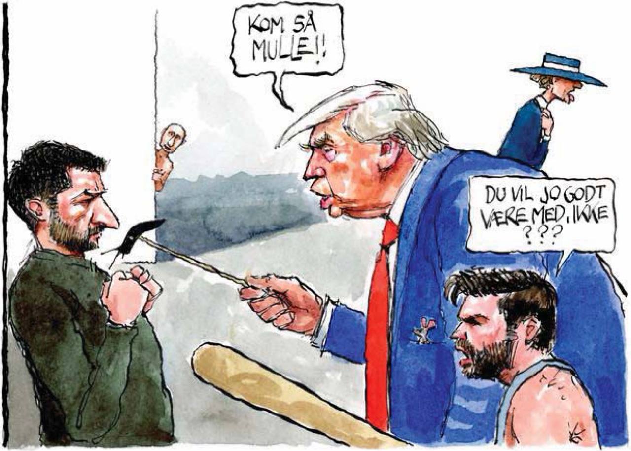 «Ну давай жри!!! Ты же хочешь быть с ними, верно?» Датская газета Jyllands-Posten полагает, что Трамп и Вэнс придумали для Зеленского «несъедобный» план мира