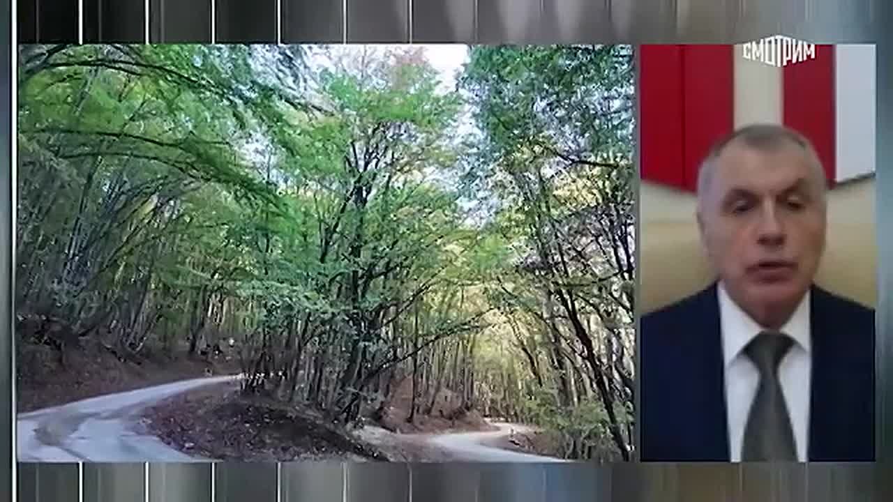 Возмещение ущерба, нанесенного Крыму со стороны киевских властей с 2014 года, могло бы стать отдельным пунктом в мирном плане по урегулированию украинского конфликта, заявил глава государственного совета республики Владимир...