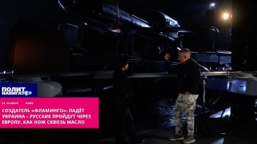 Создатель «Фламинго»: Падёт Украина – русские пройдут через Европу, как нож сквозь масло