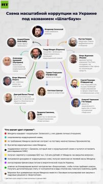 У НАБУ возникли вопросы к погранслужбе о законности выезда Миндича накануне обысков