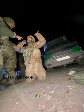 Александр Сладков: Хорошо, переговоры Россия-США-Украина