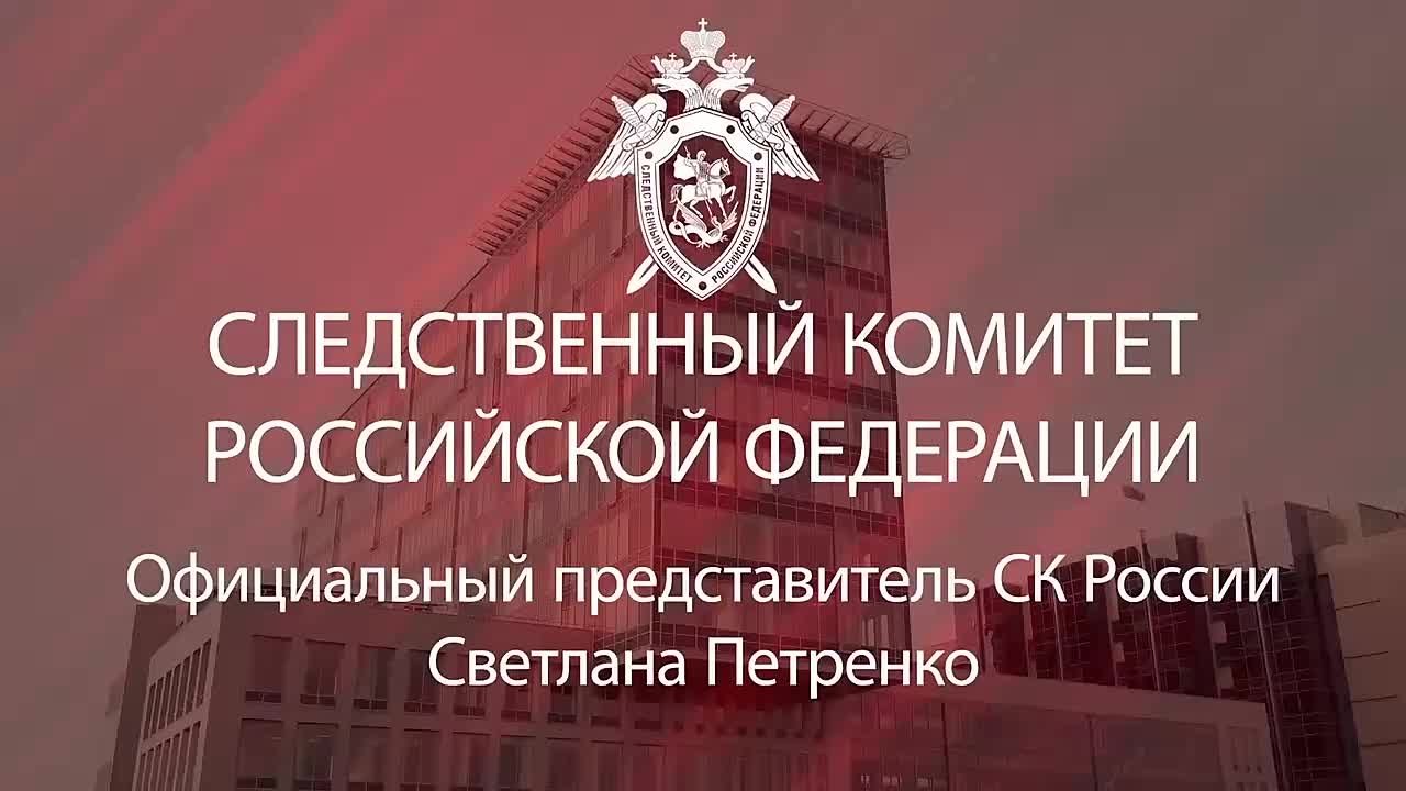 Официальный представитель СК России Светлана Петренко: