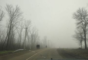 Владислав Шурыгин: Немного донецкой горькой правды