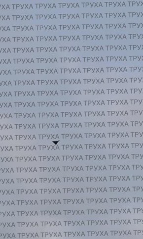 Доставка цветов по Киеву. Герани и герберы на любой вкус и цвет