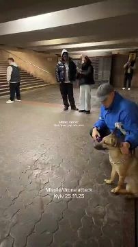 Ещё одно видео о сегодняшней ночи в Киеве