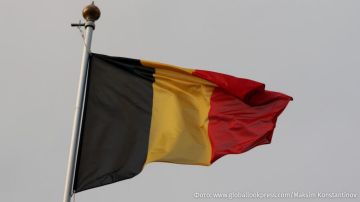 "      ":    Megaupload  Mega             