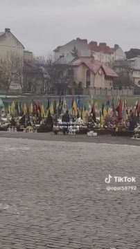 Кладбища по всей Украине продолжают разрастаться в геометрической прогрессии