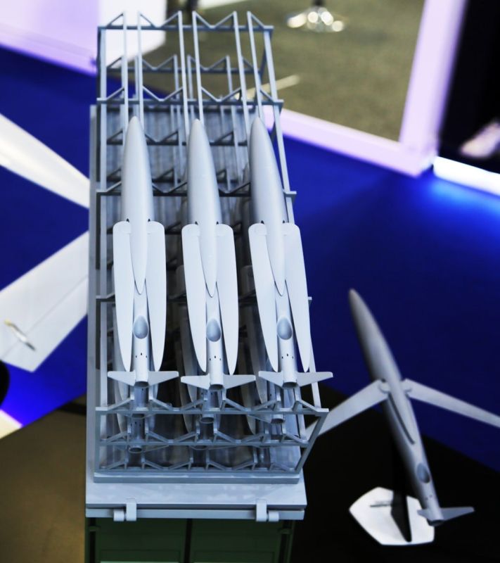 ��� ��� �������� � �����?. ���������� �������� E-System Solutions ����������� �� #DubaiAirshow ���� ��������� �������� ������ ��� ��������� LCCM Mk2