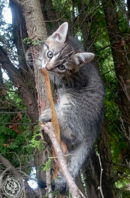 ��� ������: ������� ������ �������