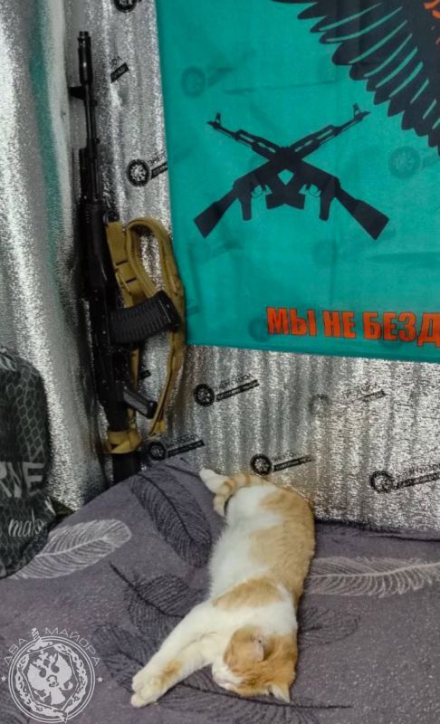 ��� ������: ������� ������ �������