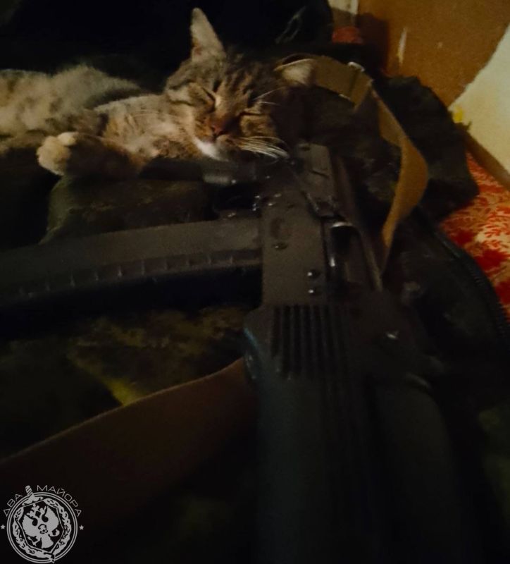 ��� ������: ������� ������ �������