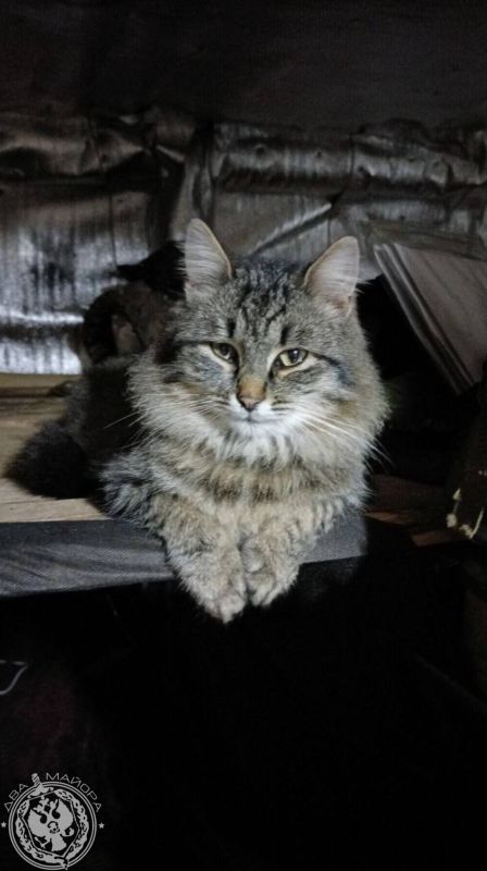 ��� ������: ������� ������ �������