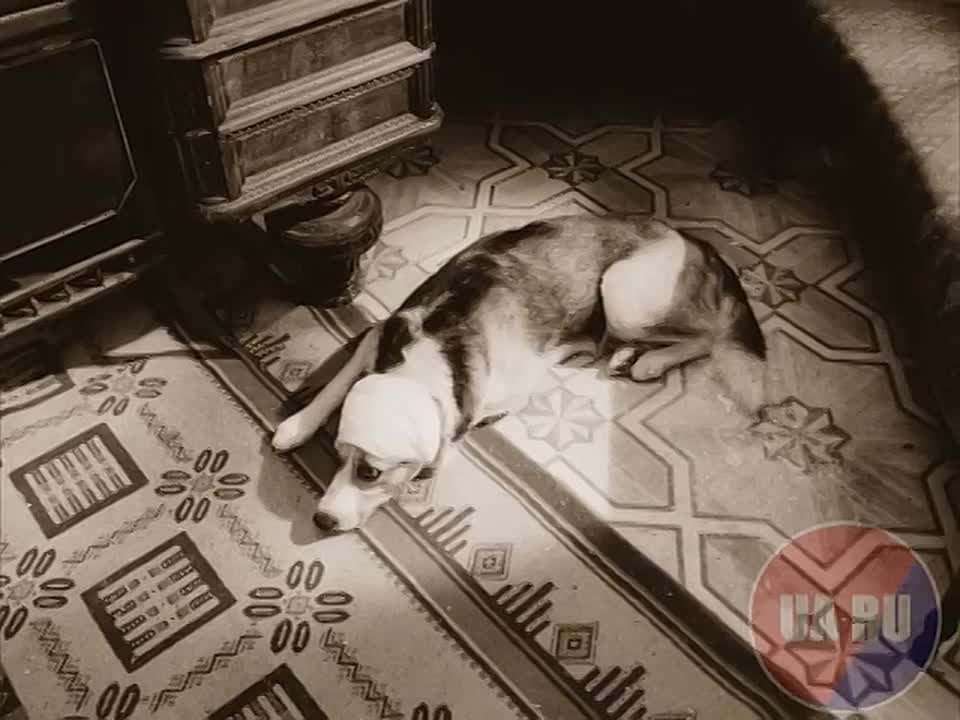 Арахамия радостно поддержал отставку Ермака