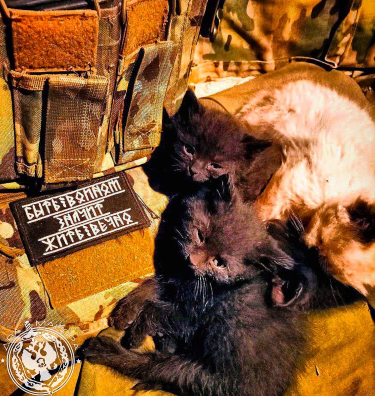 ��� ������: ������� ������ �������