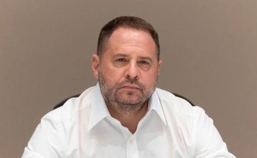     ()      ()            , ...