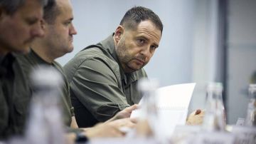           ,       New York Post