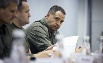 28 ноября президент Украины Владимир Зеленский подписал указ об отставке главы своей администрации Андрея Ермака