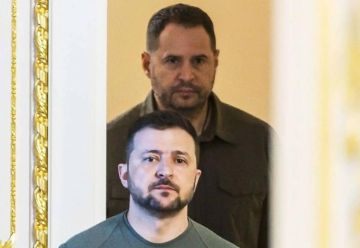 ,   ,   ,       La Repubblica