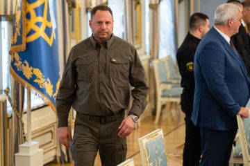    !.  The American Conservative    ,   ,         