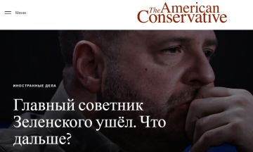  :         ,  The American Conservative